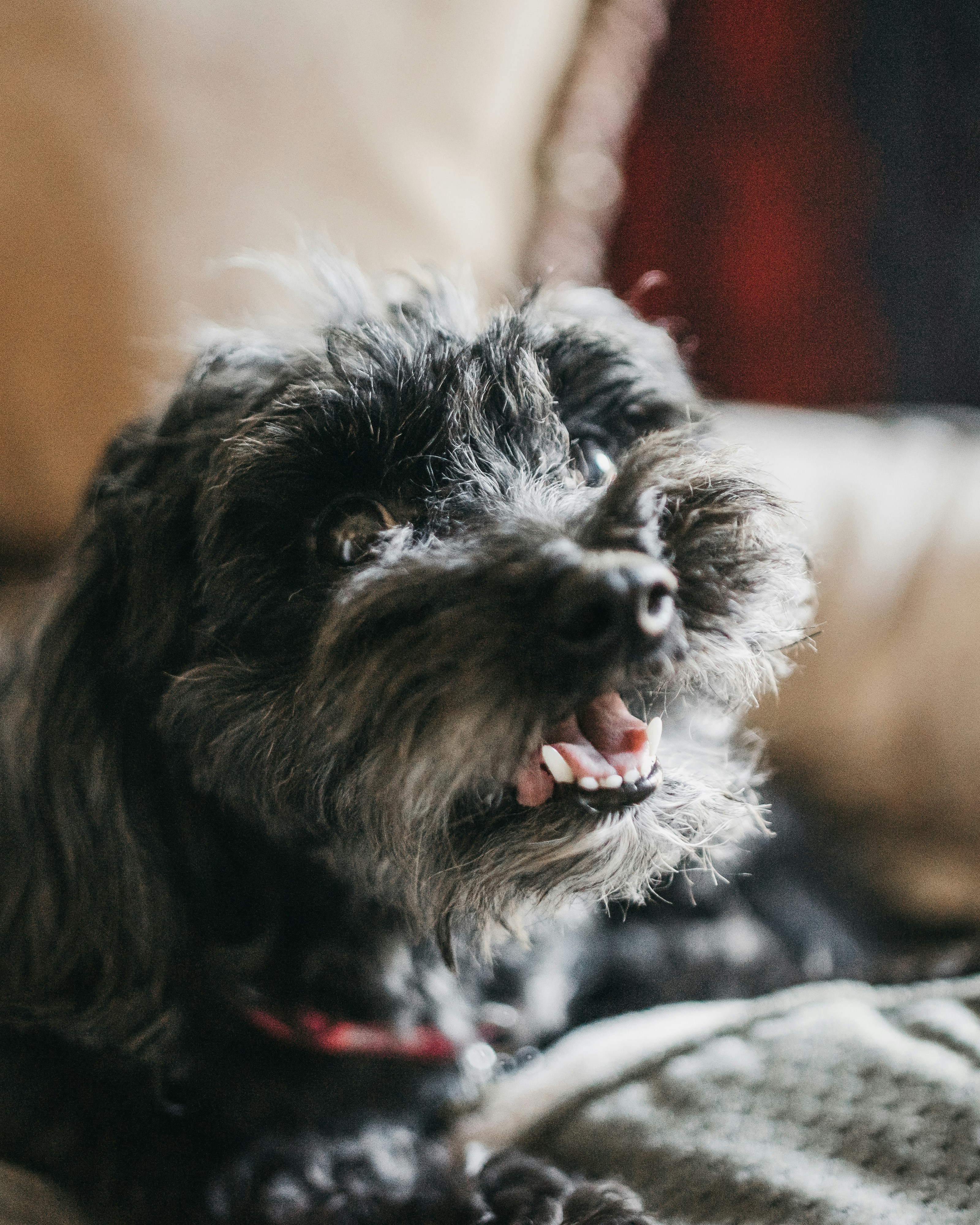 Photo by davidmartinjr