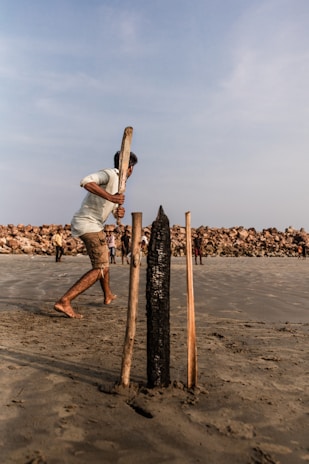 person holding cricket bat