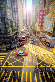 cars crossing