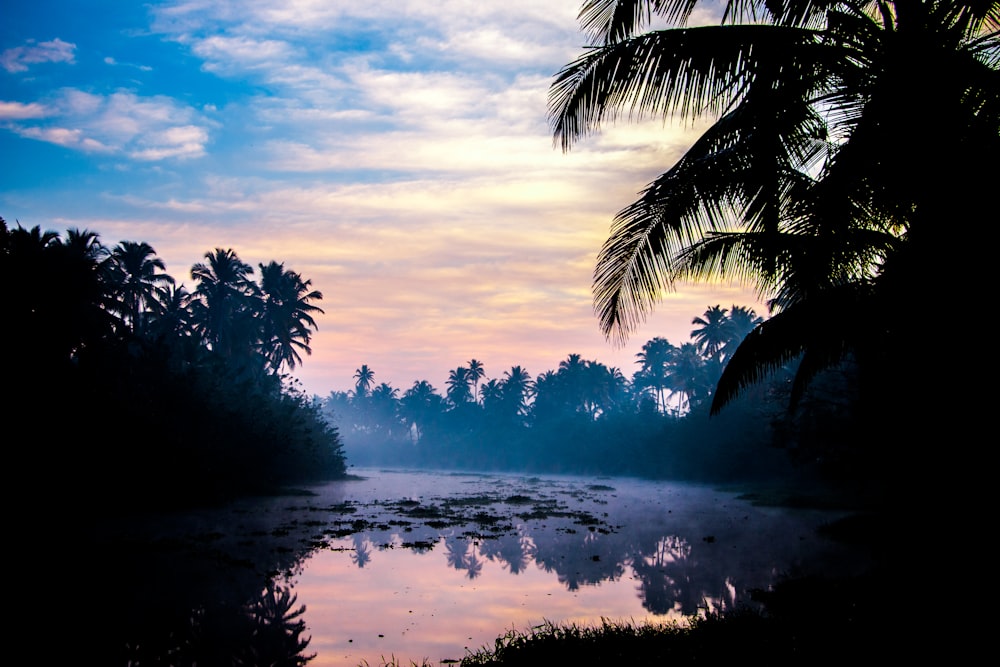 landscape photo of body of water near trees during daytime