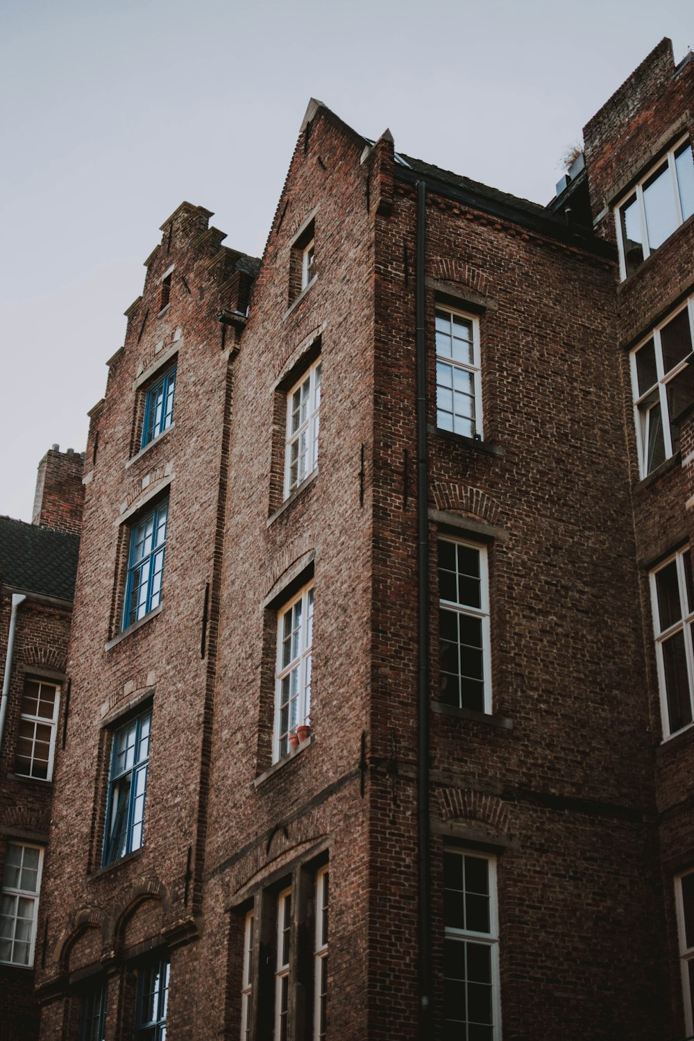 brown concrete building