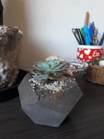 A small succulent plant is potted in a geometric-shaped concrete planter, placed on a dark wooden surface. In the background, there is a red container with white heart patterns, holding various writing instruments like pens and markers. A wicker basket and some decorative stones are also visible.