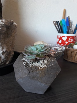 A small succulent plant is potted in a geometric-shaped concrete planter, placed on a dark wooden surface. In the background, there is a red container with white heart patterns, holding various writing instruments like pens and markers. A wicker basket and some decorative stones are also visible.