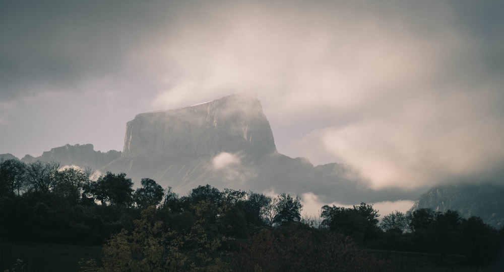 landscape photography of mountain