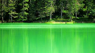 A serene lake surrounded by lush forest reflecting the emerald green trees in Sumatra.