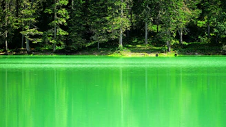 A serene lake surrounded by lush forest reflecting the emerald green trees in Sumatra.