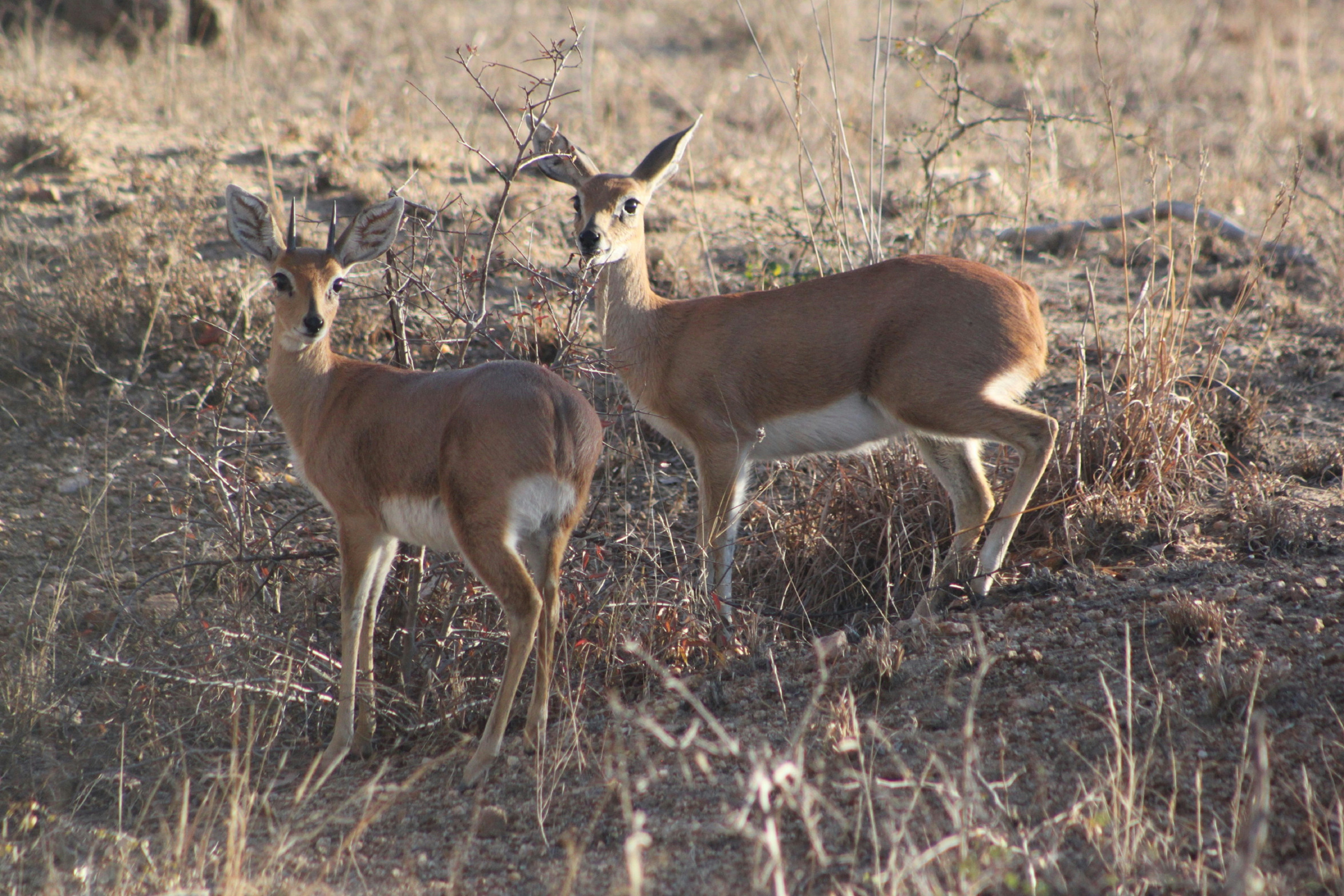 Photo by mariadagboek