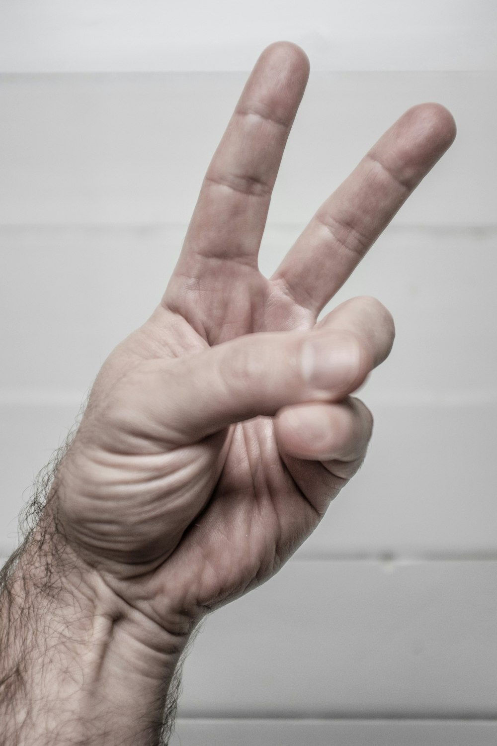 person doing hand peace symbol