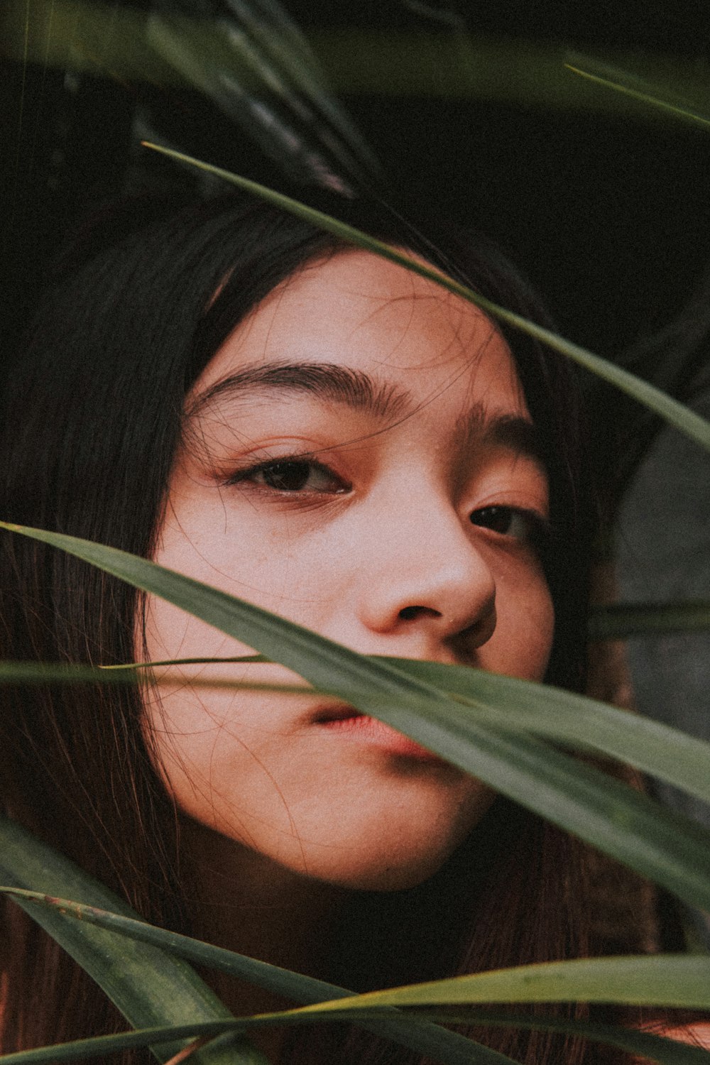 woman behind blades of grass