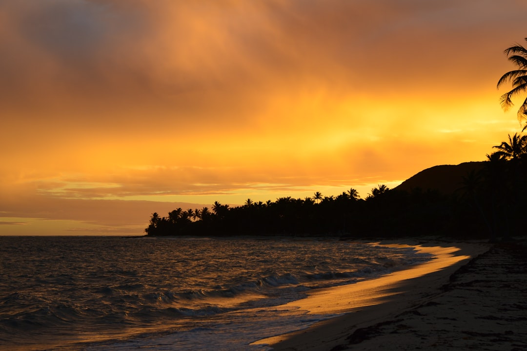 Uncovering My Roots: How a Trip to Guadeloupe Reconnected Me with M… — Uncovering My Roots, photo 12