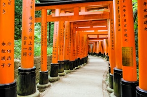orange pillars