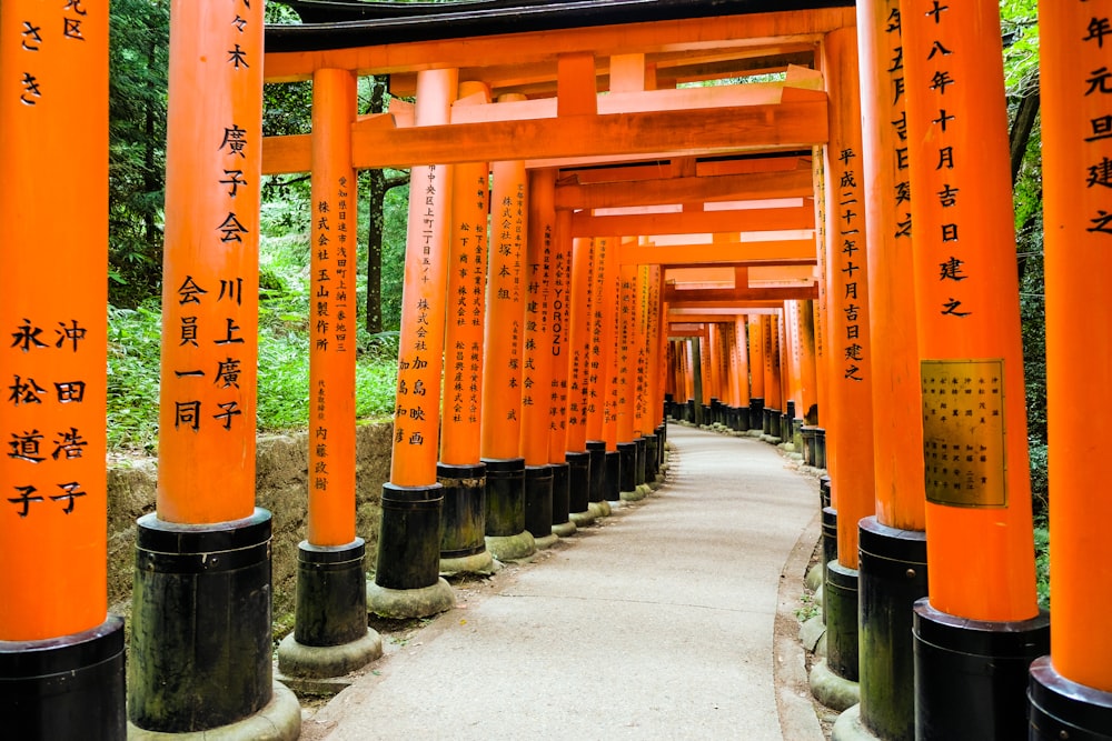 orange pillars