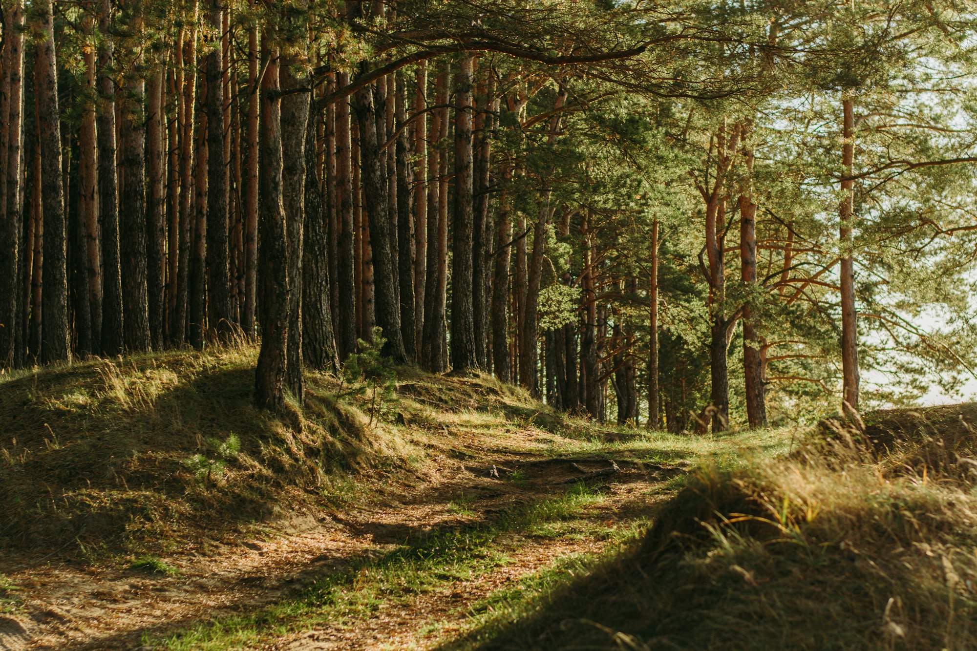 The Log Farm