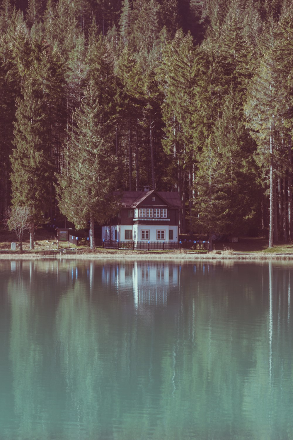 brown house beside green trees