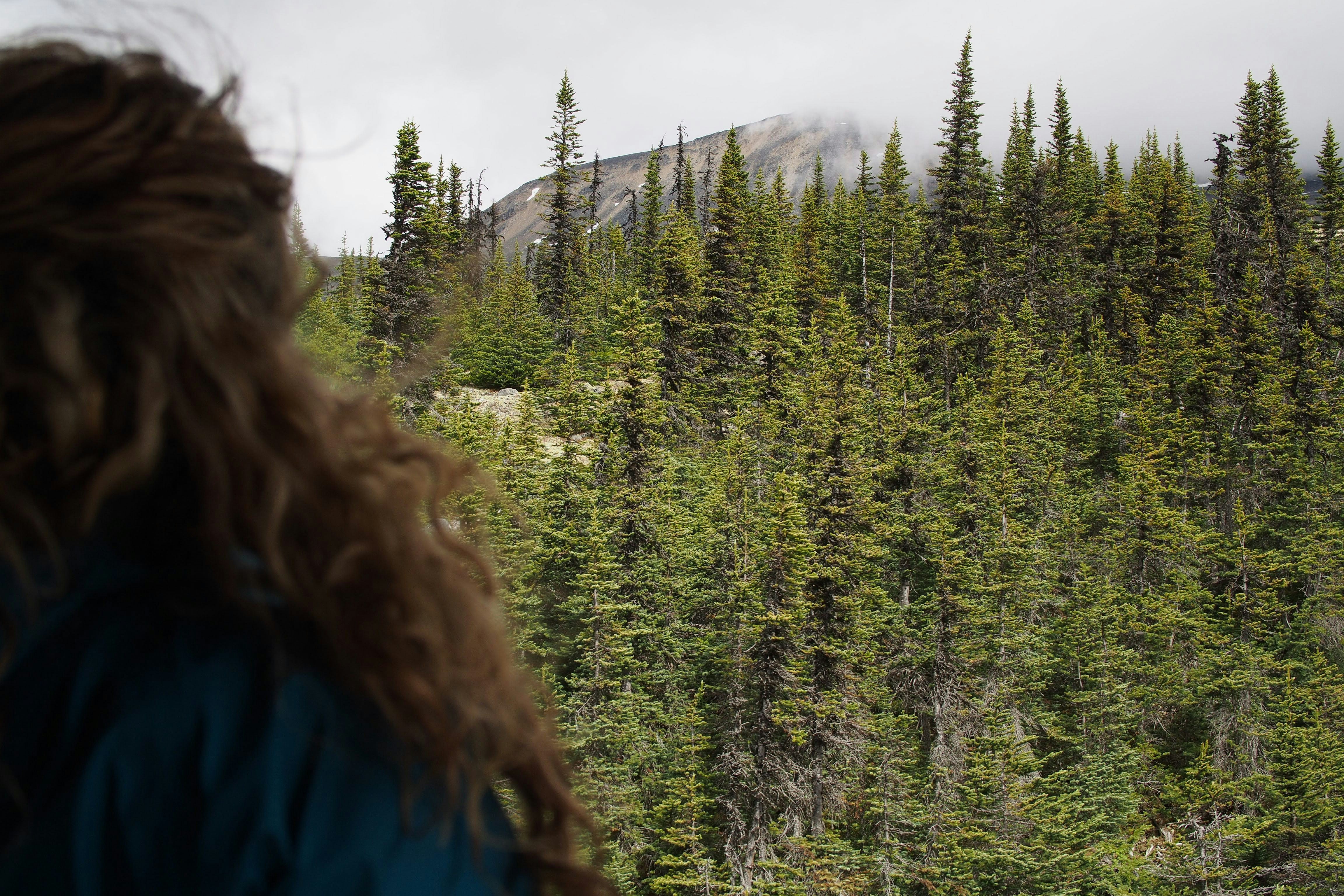 person in blue shirt in front of green leafed trees