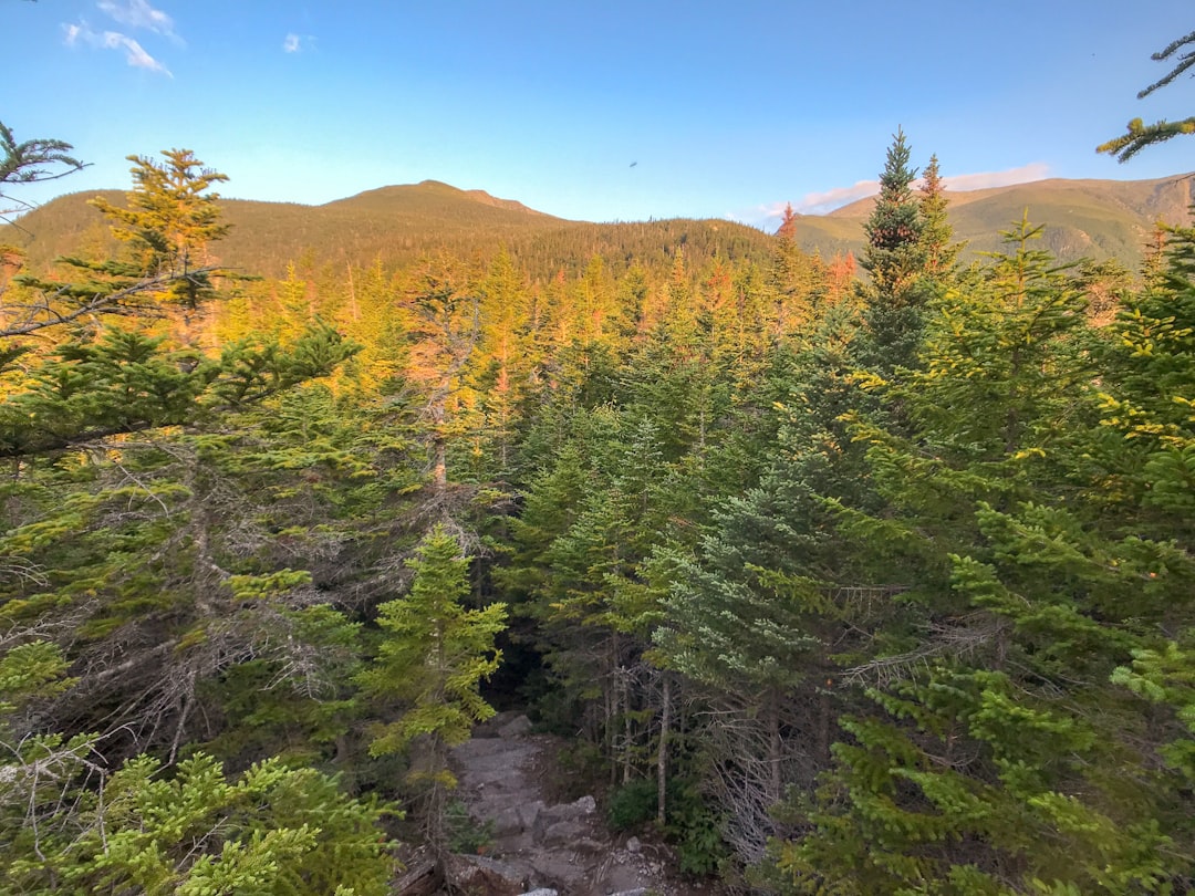 Tropical and subtropical coniferous forests photo spot Boott Spur Trail United States