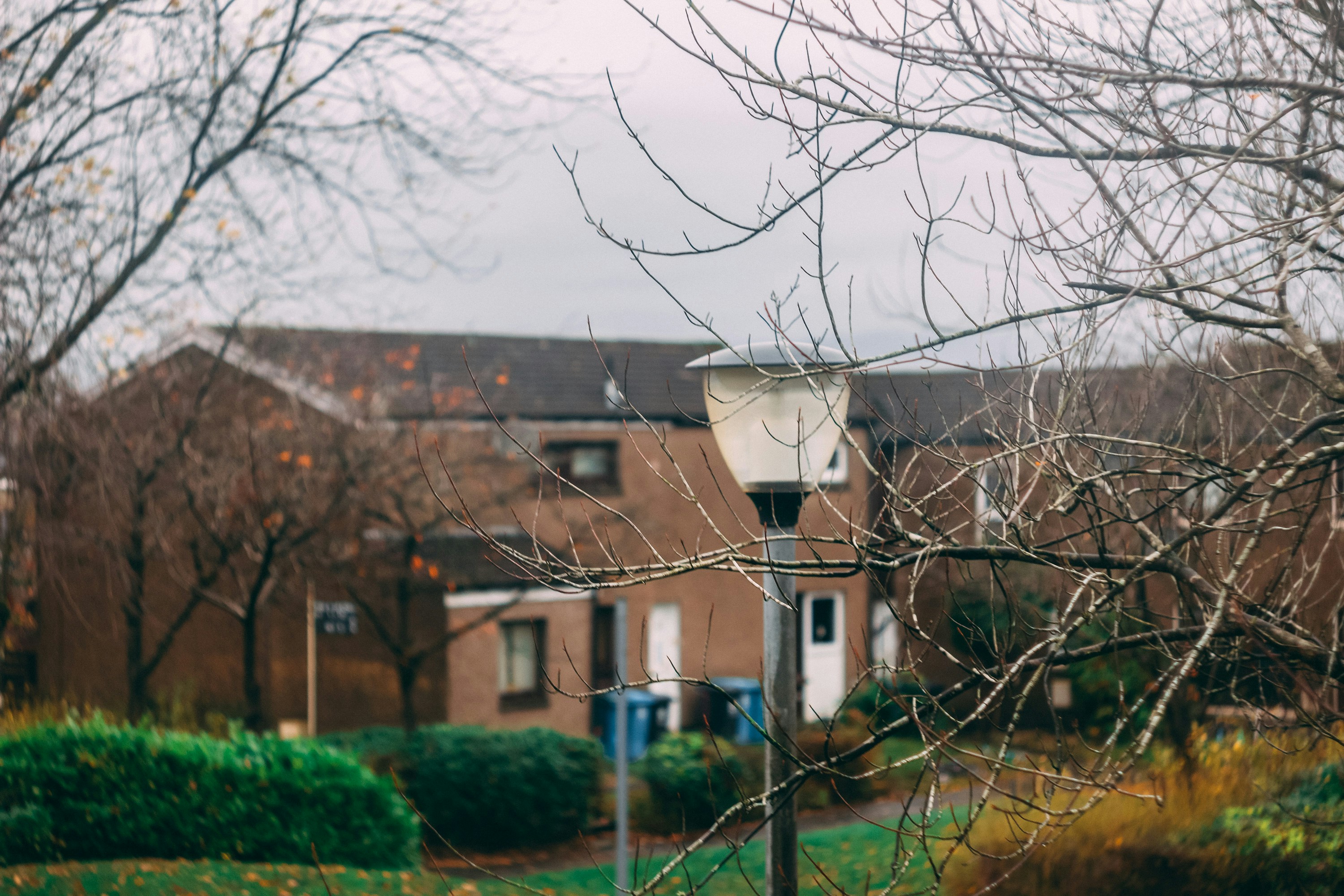 Photo by donaldedgar