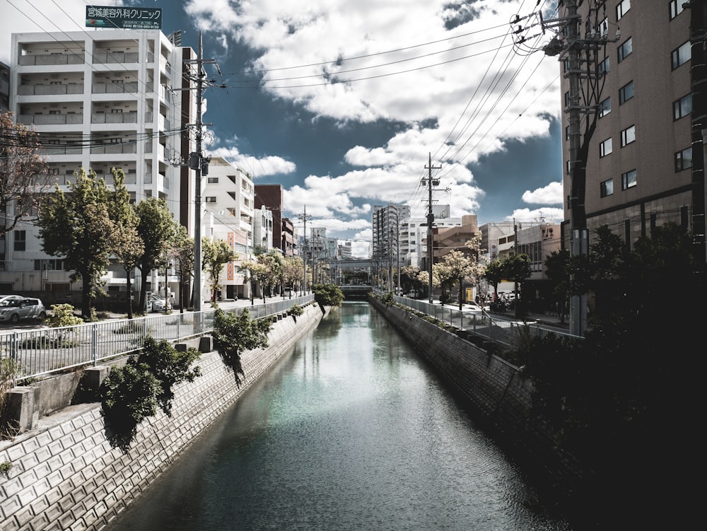 lake between buildings