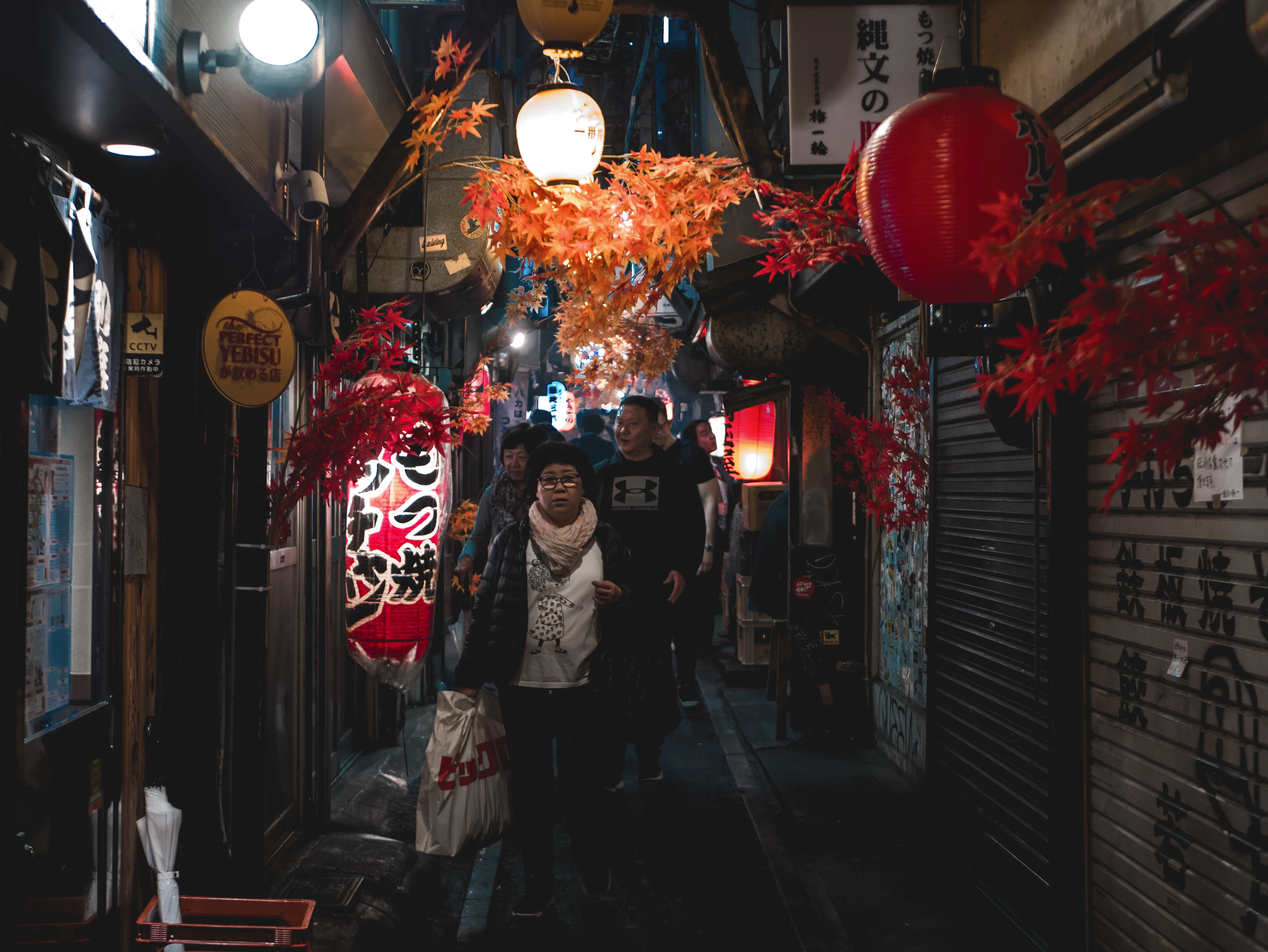 Omoide Yokocho, Tokyo