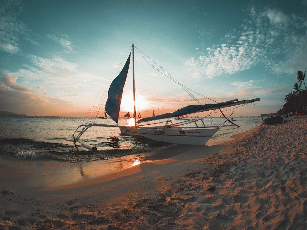 white boat docked on seashore