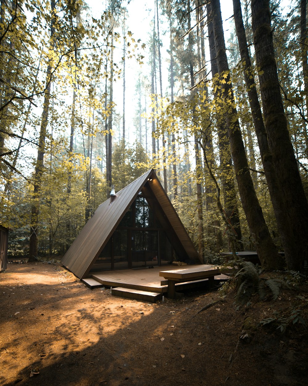 Cabane en bois marron dans la forêt