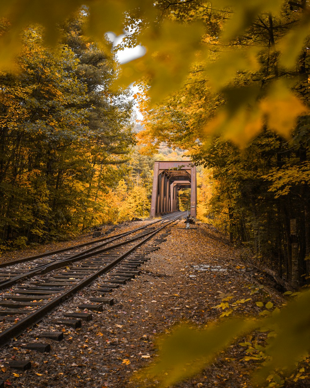 railroad tracks