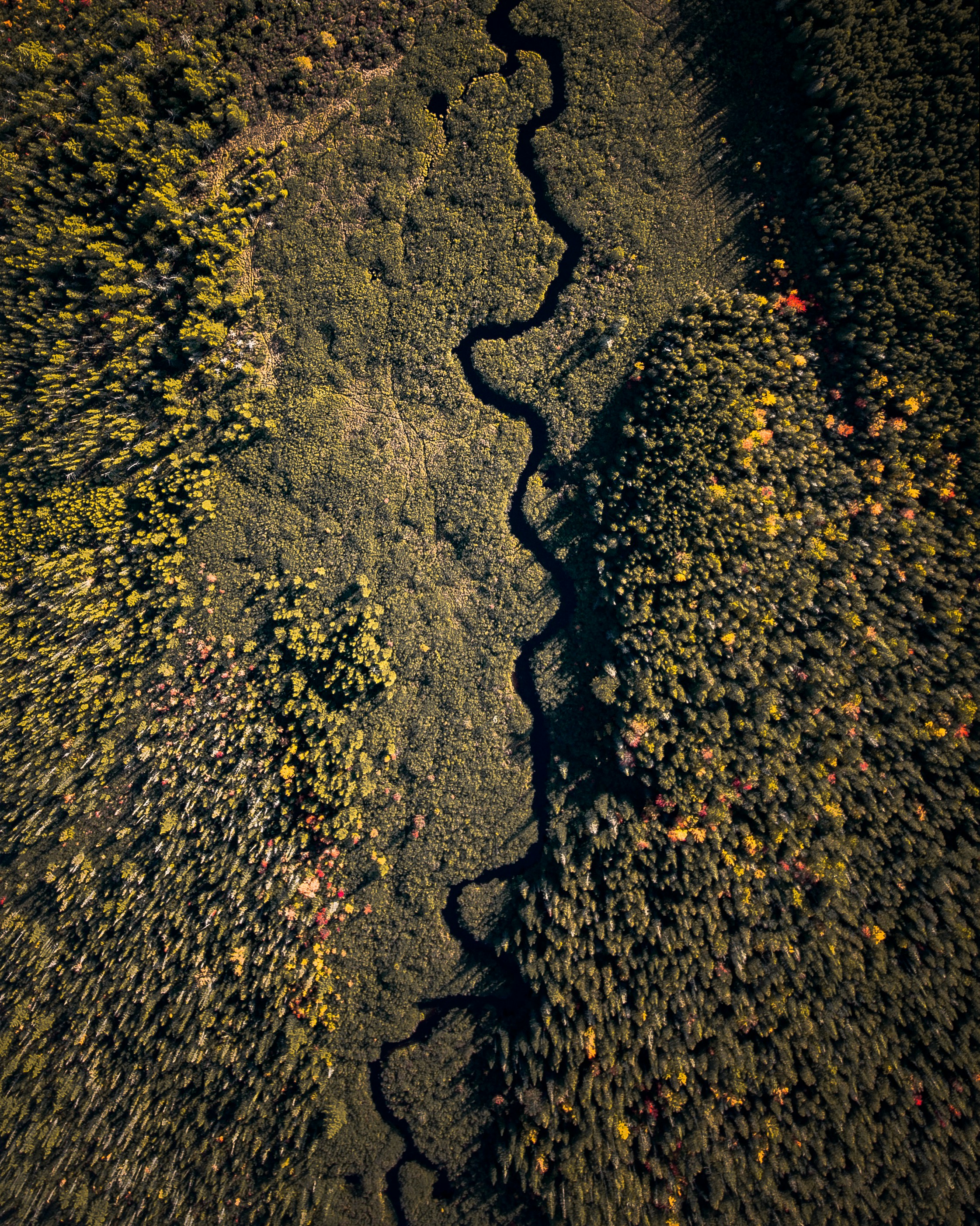 Calm Bedroom with Sage Green Rug