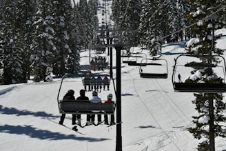 people riding a cable transport