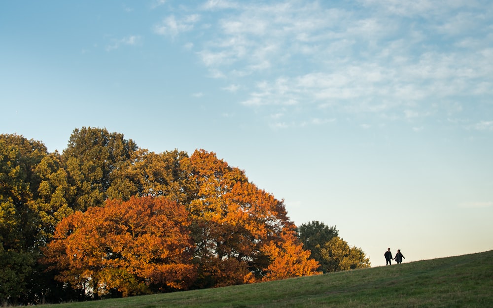 two person standing on field