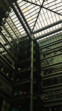 A modern office space showcasing sustainable architectural design.