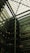 A modern architectural interior featuring a large atrium with a glass ceiling. The structure includes multiple floors of offices with glass windows. Some green, plant-covered walls add a touch of nature amidst the industrial design.