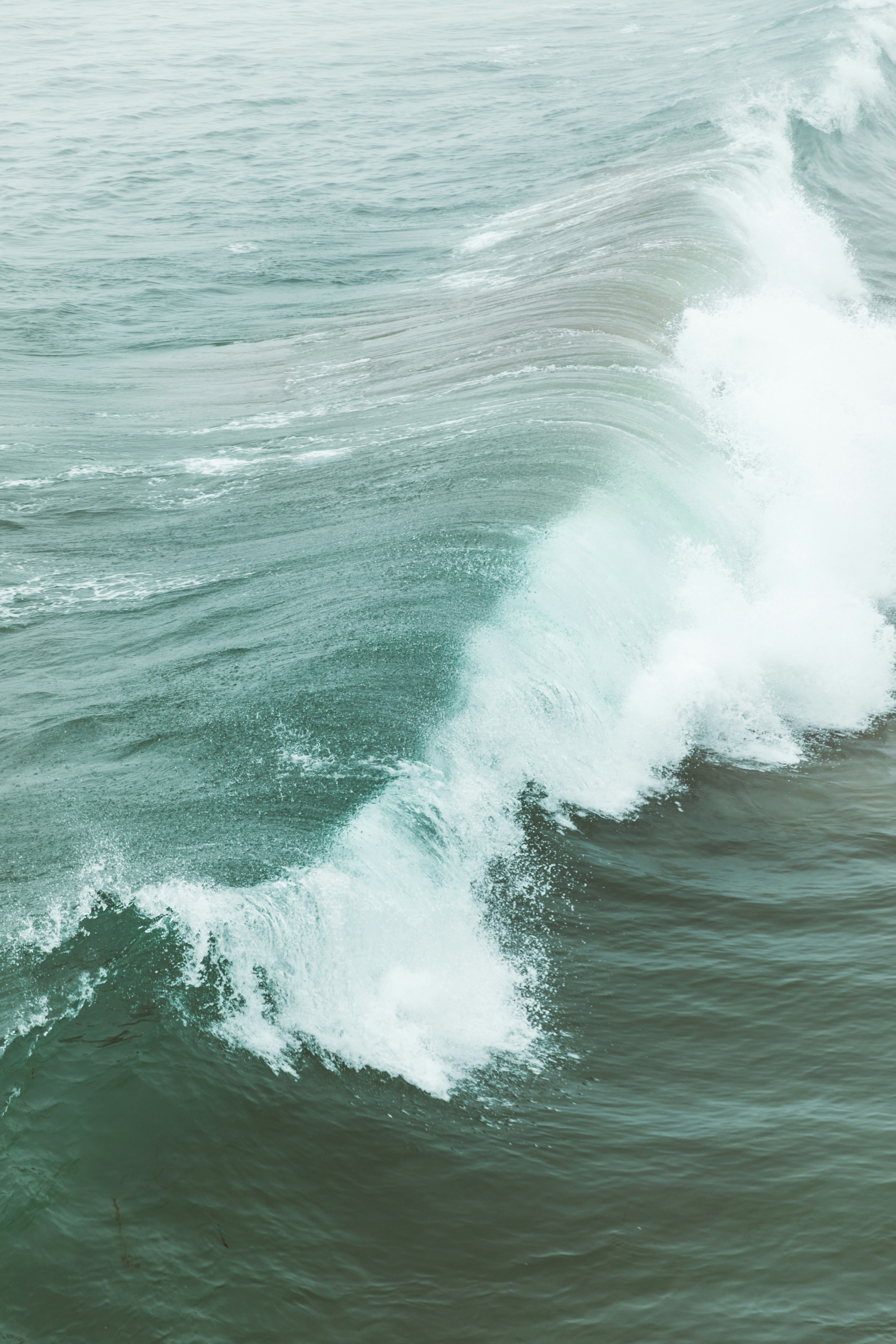 Photo by nate_dumlao