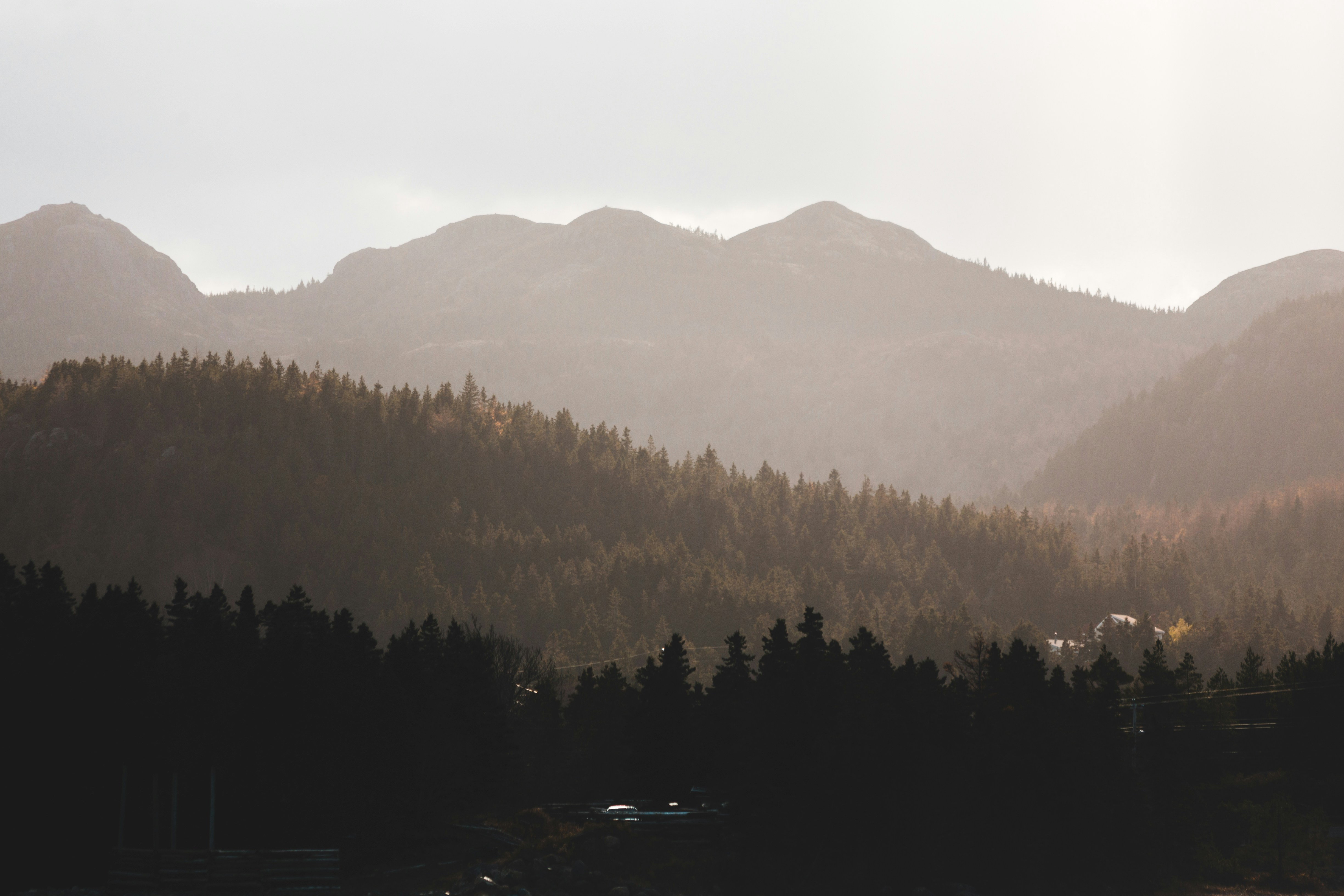 Photo by introspectivedsgn