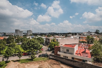 Urban landscape featuring a cluster of buildings with predominantly red and white rooftops. There is greenery with a variety of trees lining the streets and a well-maintained park visible from above. A few parked cars are visible along the roadways. In the background, a city skyline with taller structures can be seen under a partly cloudy blue sky.