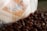 A close-up view of a coffee bag partially visible, surrounded by a scattered pile of roasted coffee beans. The bag has a geometric design with the words 'Boldly Go' and an established date of 2012 printed on it. The colors are warm, with a focus on browns and beiges.