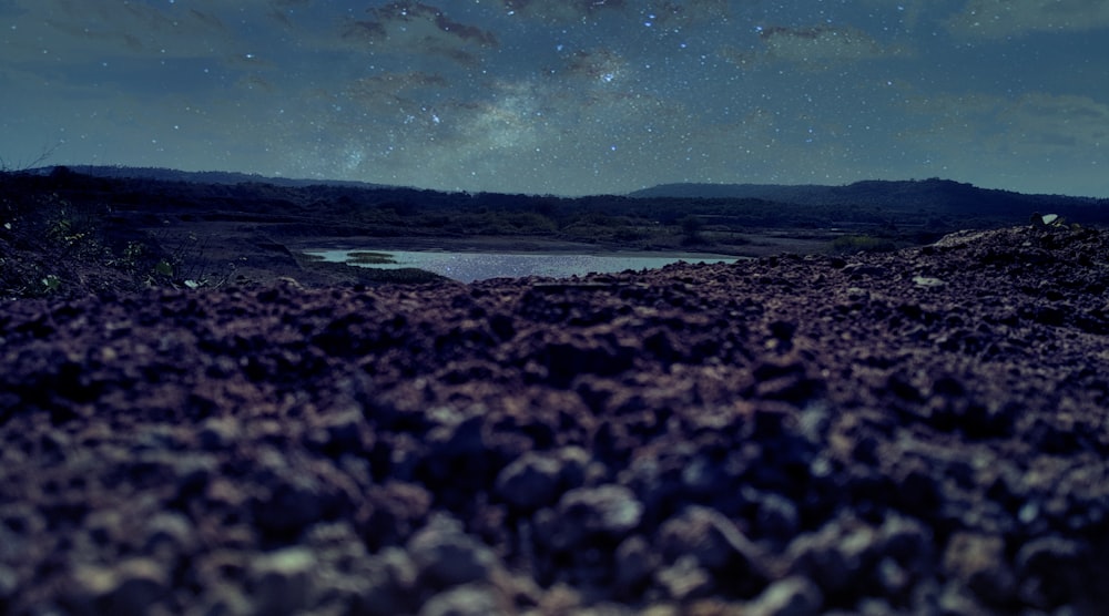 low angle photo of ground near lake