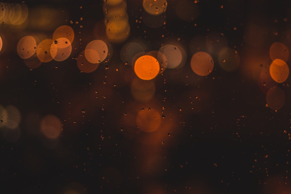 orange bokeh photography