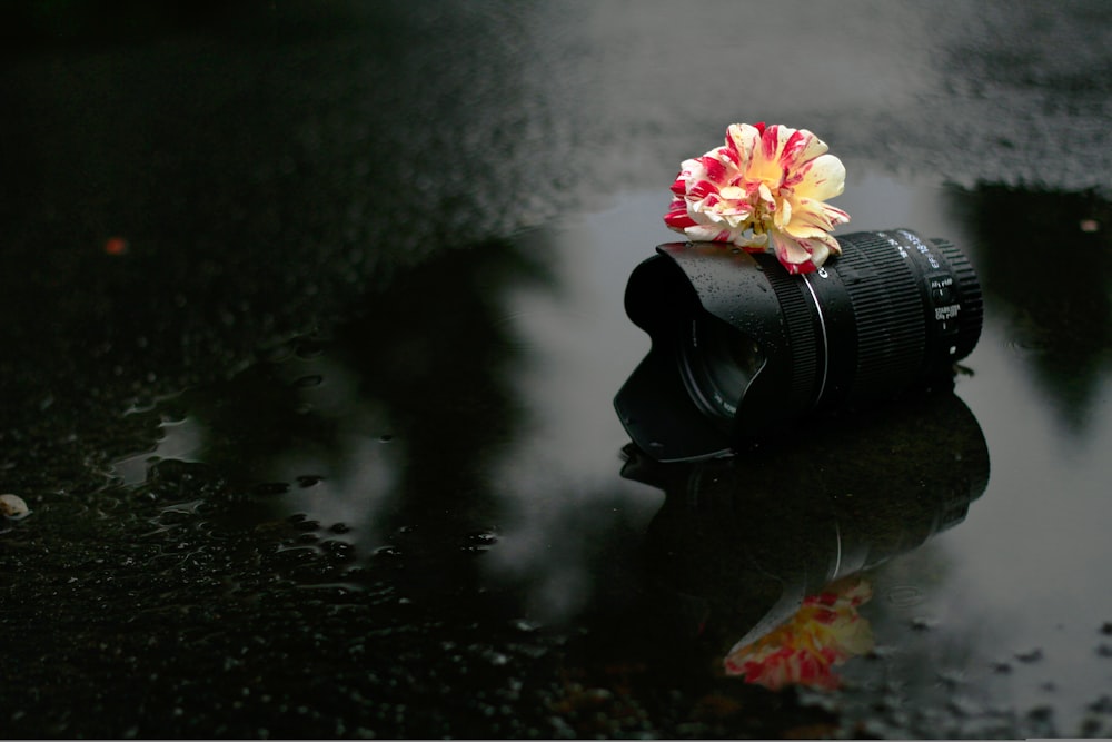 Un appareil photo avec une fleur sur le dessus