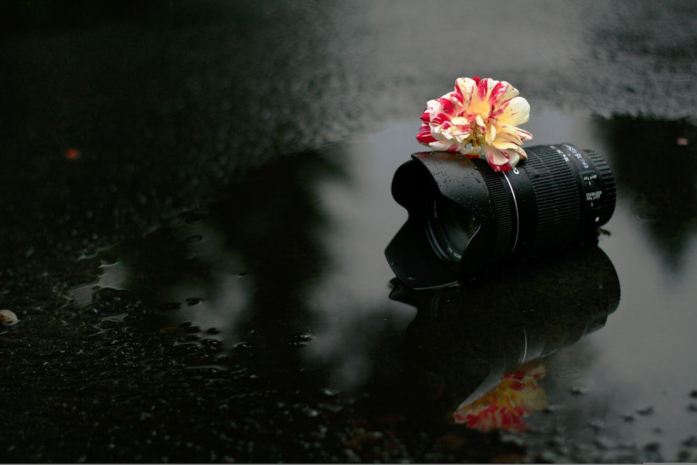 a camera with a flower on top of it