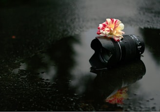 a camera with a flower on top of it