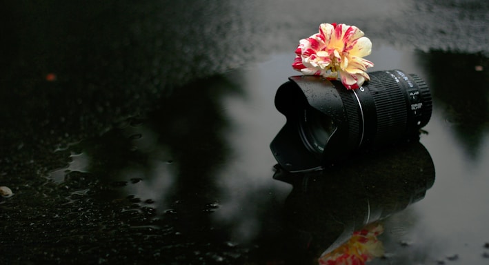 a camera with a flower on top of it