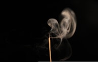 A calming scene of wispy smoke trails drifting above a collection of natural incense blends.