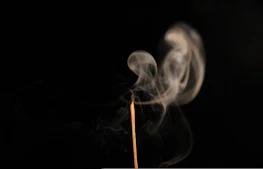 Gentle smoke rising from burning Acacia Confusa incense in a serene, natural setting.