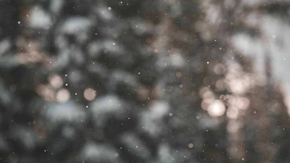 a blurry photo of snow falling from a tree