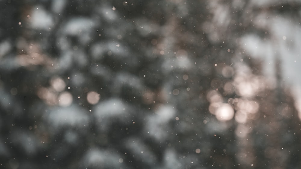 Una foto borrosa de nieve cayendo de un árbol