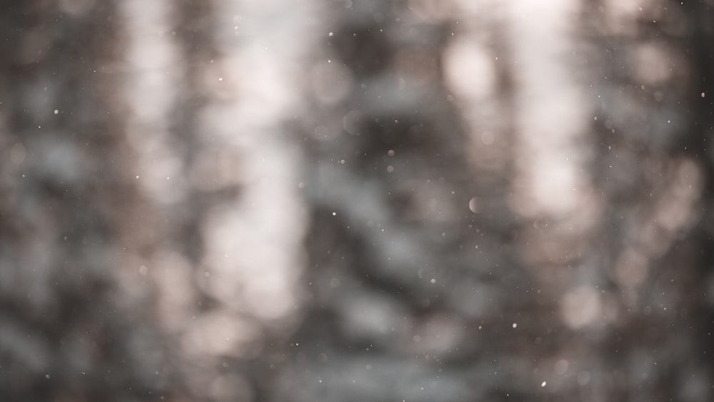 Una foto borrosa de un bosque cubierto de nieve