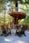 A wooden treehouse platform is nestled among tall trees, featuring a spiral staircase that wraps around the trunk. The structure is supported by sturdy beams and has a simple railing. Below, there is a wooden deck with several dark-colored Adirondack chairs arranged around a round table. The surrounding forest provides a serene and natural backdrop with sunlight filtering through the branches.