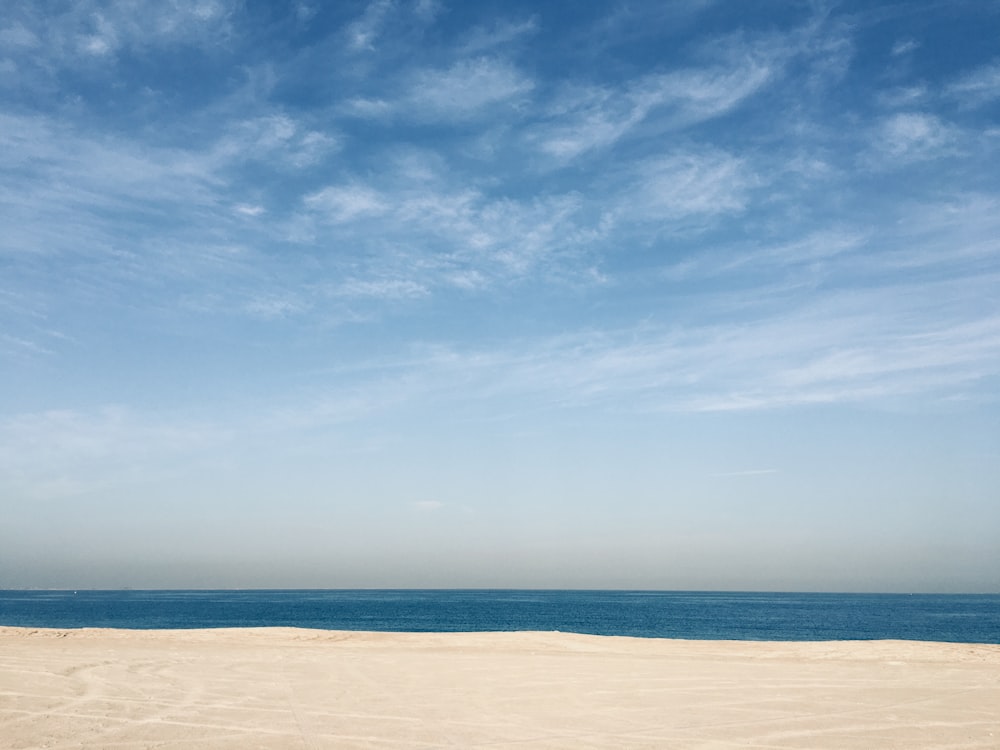 seashore and ocean