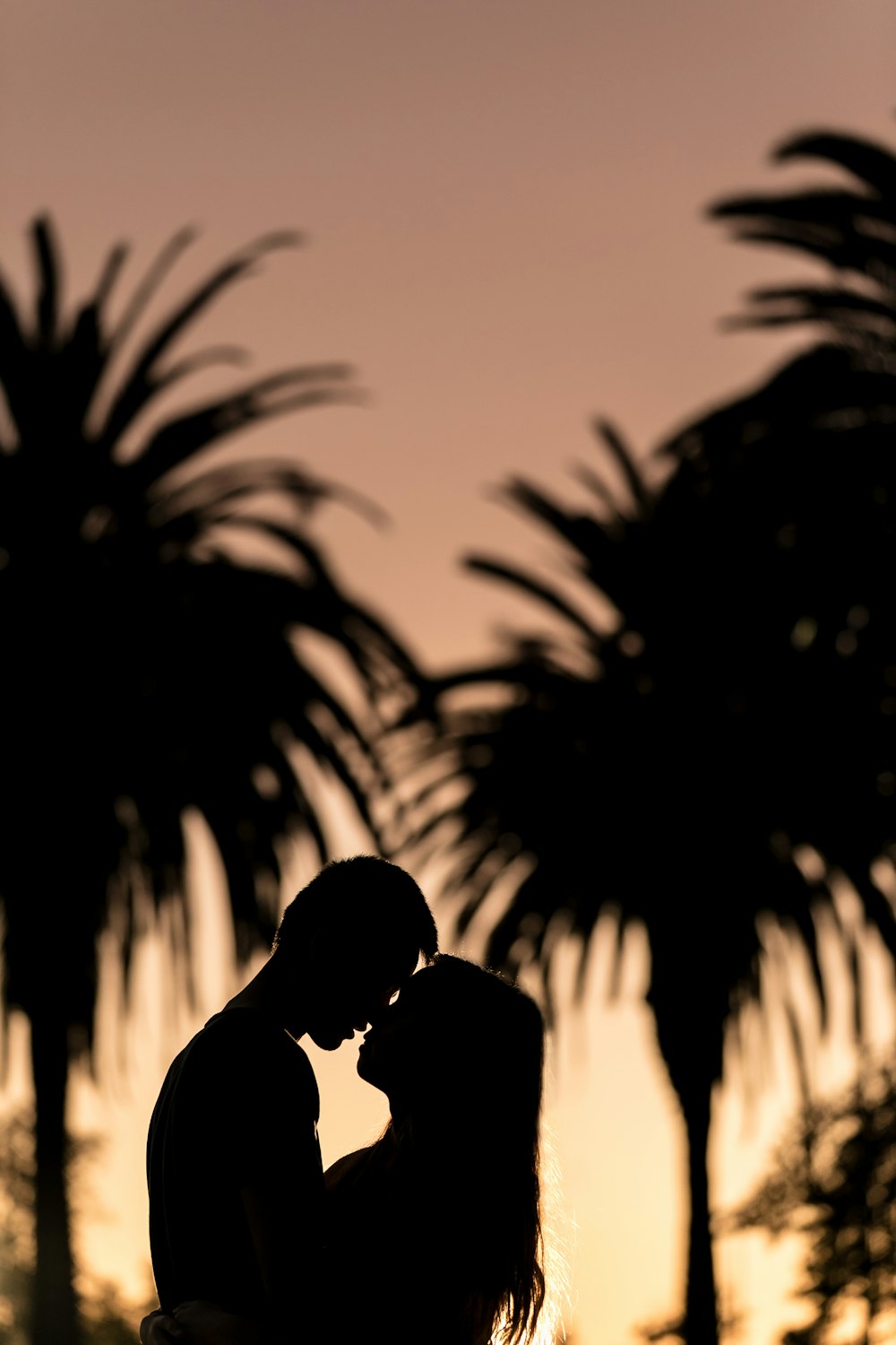 Silhouette eines Mannes und einer Frau, die sich in der Nähe von Bäumen küssen