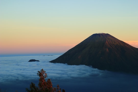 Gunung Sumbing Wonosobo things to do in Temanggung Regency